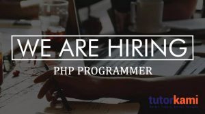 we-are-hiring-programmer